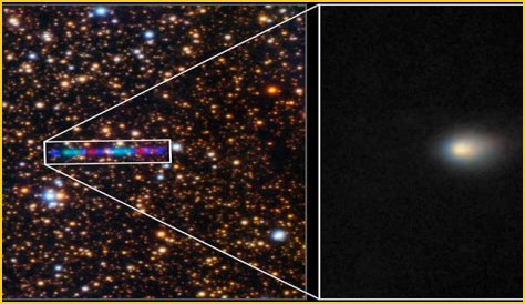 Ava Doyle: Unraveling The Mystery Behind Her Cause Of Death