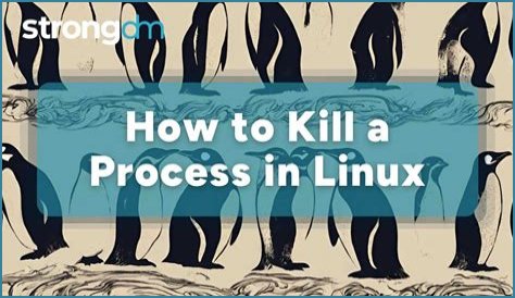 How do I trace a process in Linux?