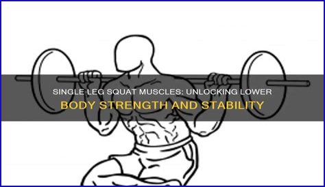 What muscles does a single leg squat work?